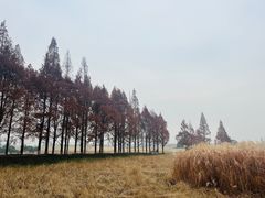 -良渚文化村