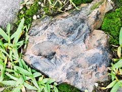 -紫金山天文台