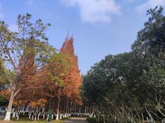 -白鹭园