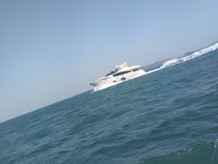 -海豚湾扬帆出海帆船游艇