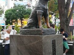 -涩谷区