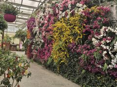 -南宫五洲植物乐园