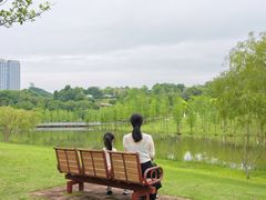 -东莞植物园