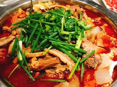 -古乐牛香·鲜牛肉牛杂火锅(新区店)