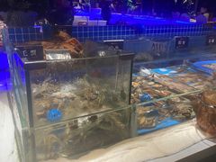 -加餐海鲜自助(宝龙一城店)