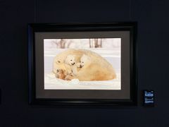 -罗红摄影艺术馆