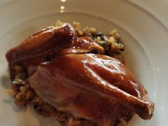 乳鸽-三号黄浦会Canton Table