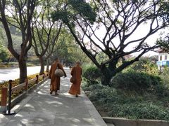 -普陀山风景区-佛顶山