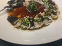 -新光酒家·河豚·海鲜·蟹料理(浦东店)