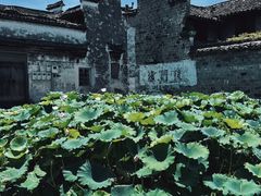 -崇仁古镇