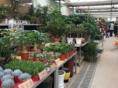 -秦美花卉(天朗·莱茵小城2期店)