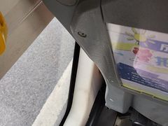 -南湖梦幻岛