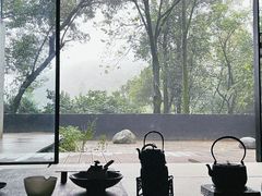 -南山植物园