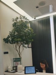 -程Studio