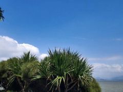 -深圳湾公园(南山区)