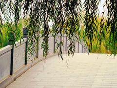 -西安汉城湖景区