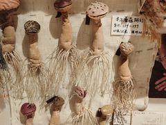 -橡皮书店(翠湖北路店)