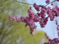 -颐和园