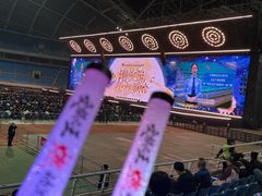 -沈阳奥林匹克体育中心