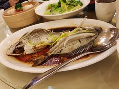 -益利大酒楼(井岸店)