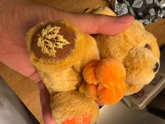 -玩具反斗城(海港城店)