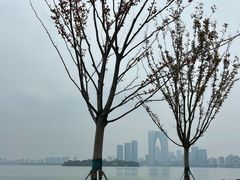 -金海华·Winsun玲珑国际·赫本时光(园区金鸡湖店)