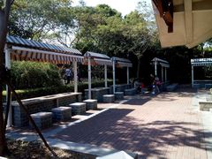-吴淞炮台湾湿地森林公园烧烤区