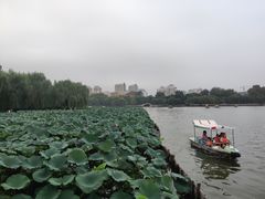 -咱家王新国把子肉(县东巷店)