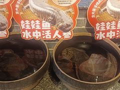 -印象鲵宴·张家界地标美食名片(溪布街店)