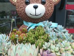 -金科花卉市场