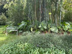 -云溪植物园