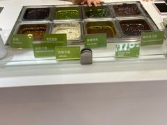 -Salud撒露欧洲冻酸奶(蓝色港湾店)