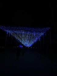 -郑州市世纪公园