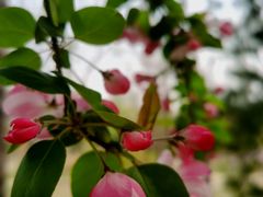 -大兴滨河森林公园