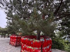 -香山公园