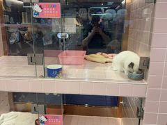 -FAELING PETS美天灵宠物(富力广场店)