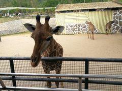 -泉州海丝野生动物世界
