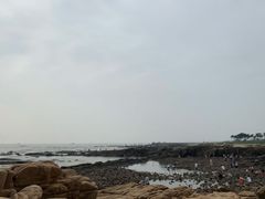 -渡海小渔村.老辈日照菜