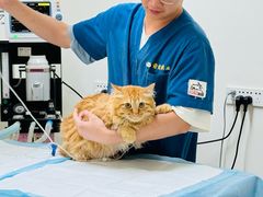 -康爱犬猫诊所·牙专科·骨外科·影像内科(丰宁店)