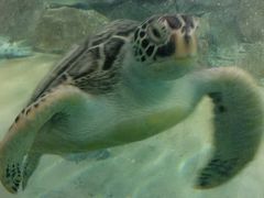 -福州罗源湾海洋世界旅游区