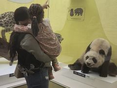 -国家自然博物馆