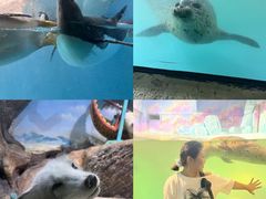 -大连圣亚海洋世界
