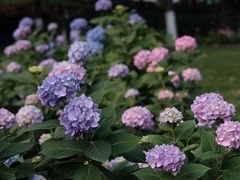 -常州古运河南大街文化旅游区-人民公园