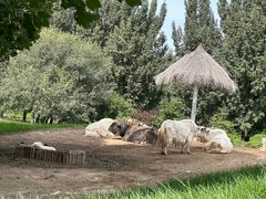 -北京野生动物园