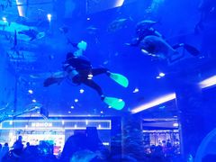 -成都浩海立方海洋公园