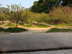 -南国桃园旅游度假区