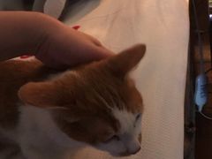 -大观园影院式足浴Spa店(沙坪坝店)