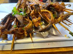 鳝鱼-晓靖轩烧烤(沙河风情店)