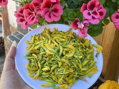 -食全酒美·野生菌腊排骨餐厅(木府店)
