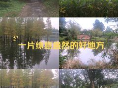 -白鹭湾湿地公园